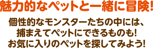魅力的なペットと一緒に冒険！ 個性的なモンスターたちの中には、捕まえてペットにできるものも！ お気に入りのペットと一緒にチョコットランドを冒険しよう！