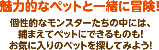 魅力的なペットと一緒に冒険！ 個性的なモンスターたちの中には、捕まえてペットにできるものも！ お気に入りのペットと一緒にチョコットランドを冒険しよう！