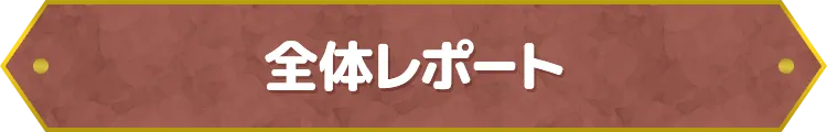 全体レポート