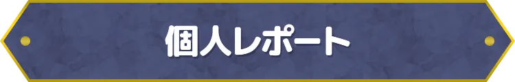 個人レポート
